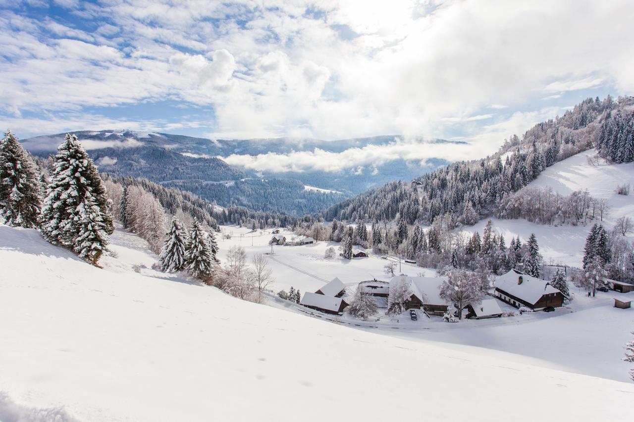 Bodnerhof Villa Arriach ภายนอก รูปภาพ