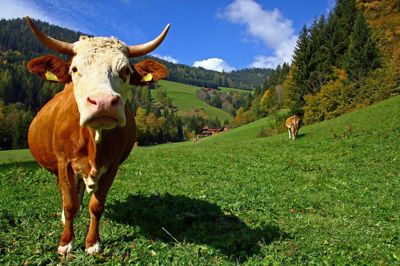 Bodnerhof Villa Arriach ภายนอก รูปภาพ